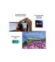 APPLE IPHONE 16 PLUS 256GB TEAL