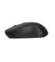 MOUSE SILENT TRUST