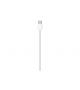 APPLE CAVO USB-C METRI 1