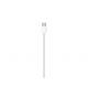 APPLE CAVO USB-C METRI 1