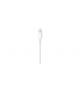 APPLE CAVO LIGHTNING A USB-C 1MT.
