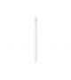 APPLE  PENCIL USB-C