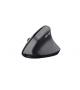 Trust bayo ii ergonomic wireless