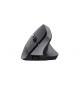 Trust bayo ii ergonomic wireless