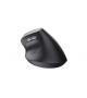 Trust bayo ii ergonomic wireless