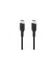 BELKIN CAVO IN PVC USB-C METRI 2