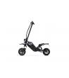 Electric Scooter - Predator Extreme