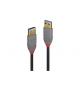 LINDY Cavo USB 3.2 Tipo A a A, 5m
