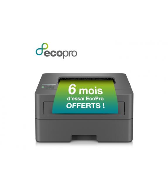 Brother HL-L2400DWE - Stampante