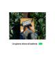 MACBOOK PRO 14'' M4