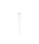 AURICOLARI EARPODS APPLE USB-C