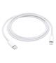 CAVO APPLE USB TYPE-C TO LIGHTNING 1MT M/M