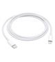 CAVO APPLE USB TYPE-C TO LIGHTNING 1MT M/M