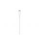 CAVO APPLE USB TYPE-C TO LIGHTNING 1MT M/M