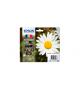 EPSON 18XL - CARTUCCIA DI STAMPA - 1 X N
