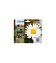EPSON 18XL - CARTUCCIA DI STAMPA - 1 X N