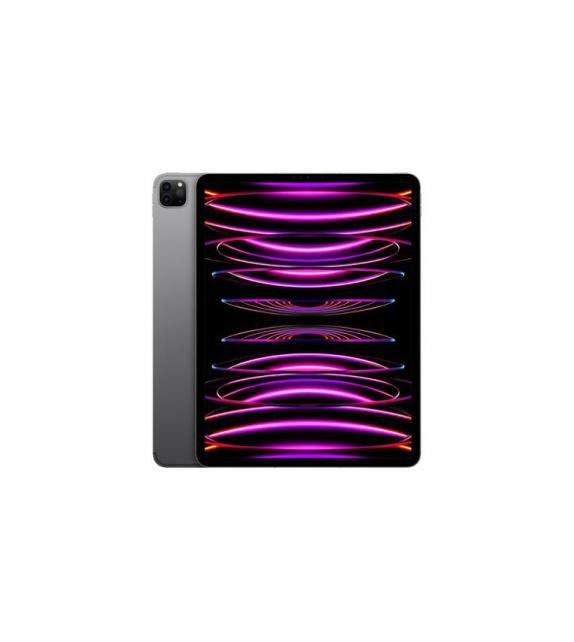IPAD PRO 12.9 256 GB  WIFI+CELLULAR