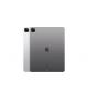 IPAD PRO 12.9 256 GB  WIFI+CELLULAR