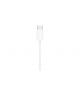 AURICOLARI EARPODS APPLE USB-C