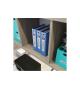 ETICHETTATRICE TERMICA USB WIFI QL-810W